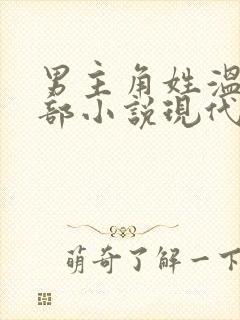 男主角姓温的全部小说现代