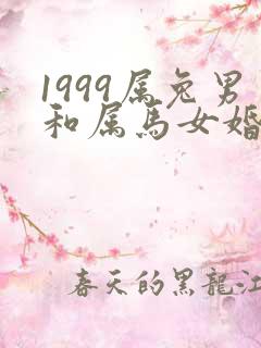 1999属兔男和属马女婚配好吗