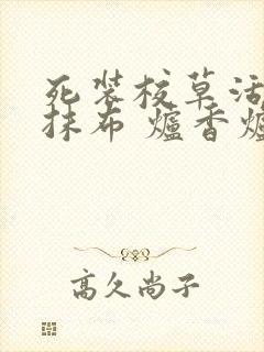 死装校草活该被抹布 炉香炉香完结了吗