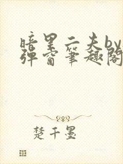 暗里二夫by无弹窗笔趣阁免费阅读