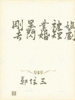 刚毕业被姐姐拉去闪婚短剧观看