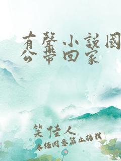 有声小说国民老公带回家