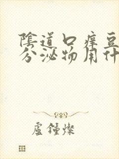 阴道口痒豆腐渣分泌物用什么药