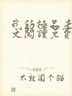 我的极品老婆全文阅读免费