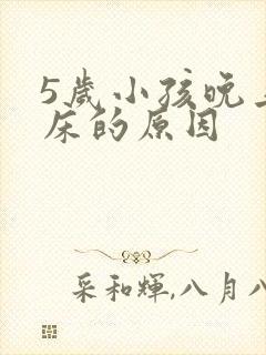 5岁小孩晚上尿床的原因