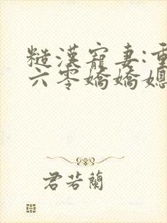 糙汉宠妻:重生六零娇娇媳