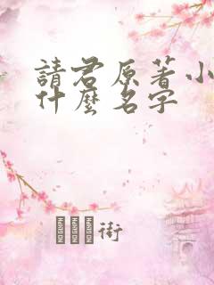 请君原著小说叫什么名字