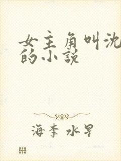 女主角叫沈卿晚的小说