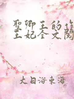 圣卿王的作妖小王妃全文阅读