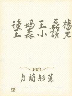 后妈王磊杨晓芬王森小说免费阅读