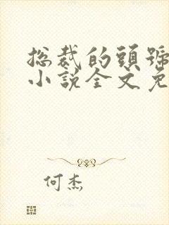 总裁的头号佳妻小说全文免费阅读