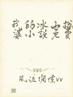 我的冰山总裁老婆小说免费完整版