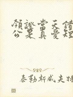 领证当天错认老公是真爱短剧