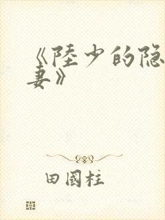 《陆少的隐婚罪妻》