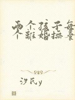 两个孩子每人一个离婚抚养费