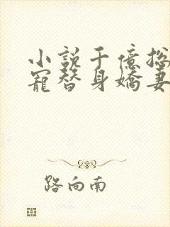 小说千亿总裁独宠替身娇妻