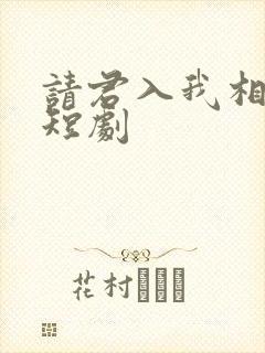 请君入我相思局短剧