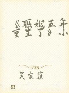 《联姻五年后她重生了》小说