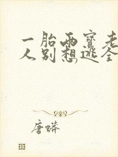 一胎两宝老婆大人别想逃全文免费阅读全文