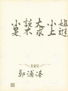 小说大小姐她总是不求上进全文阅读