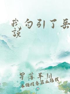 我勾引了岳母小说