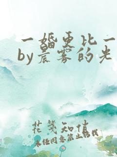 一婚更比一婚高by晨雾的光类似的小说