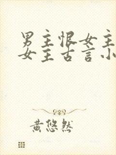 男主恨女主报复女主古言小说