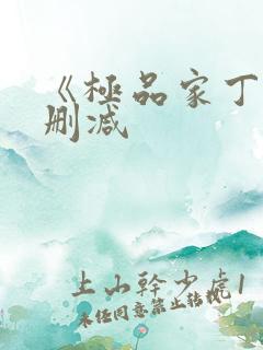 《极品家丁》无删减