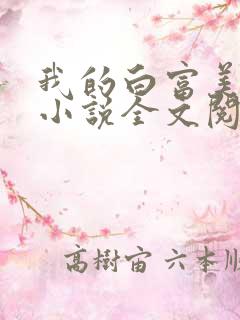 我的白富美老婆小说全文阅读