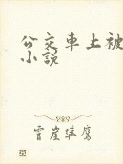 公交车上被人插小说