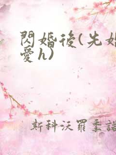 闪婚后(先婚后爱h)