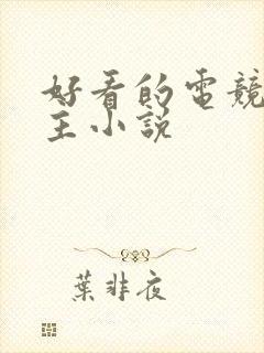 好看的电竞双男主小说