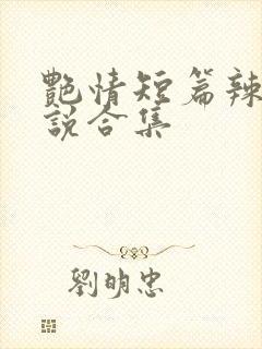 艳情短篇辣文小说合集