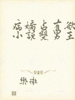 病娇占有欲强的小说双男主