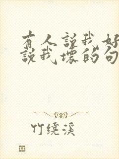 有人说我好有人说我坏的句子