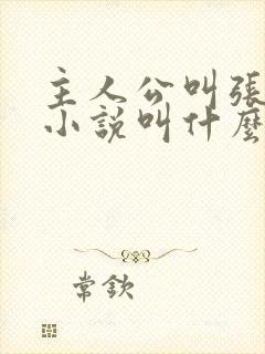 主人公叫张易的小说叫什么名字