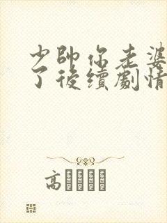 少帅你老婆又跑了后续剧情