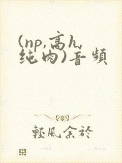 (np,高h,纯肉)音频