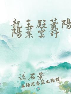 龙王殿萧阳 萧阳叶云舒