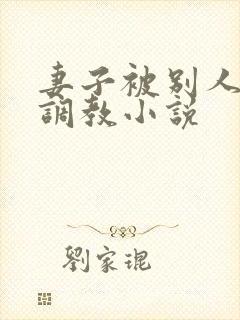 妻子被别人征服调教小说