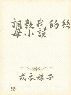 调教我的丝袜美母小说
