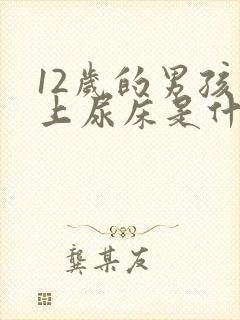 12岁的男孩晚上尿床是什么原因呢?