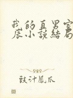 我的直男室友张辰小说结局