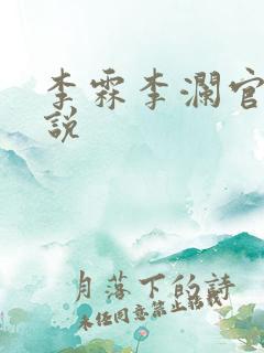 李霖李澜官场小说