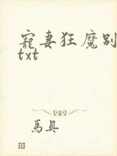 宠妻狂魔别太坏txt