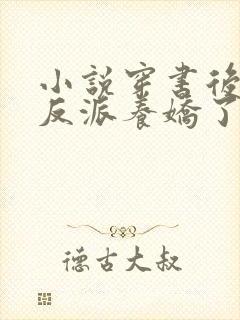 小说穿书后我把反派养娇了