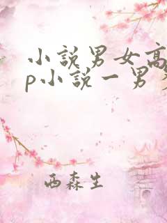 小说男女高hnp小说一男多女