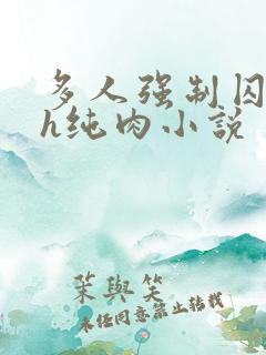 多人强制囚禁高h纯肉小说