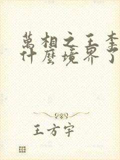 万相之王李洛到什么境界了