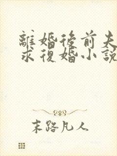 离婚后前夫哭着求复婚小说全部章节